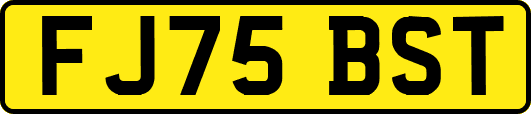 FJ75BST