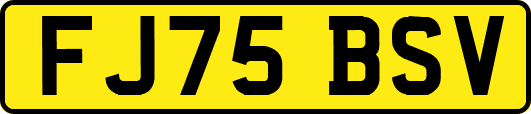 FJ75BSV
