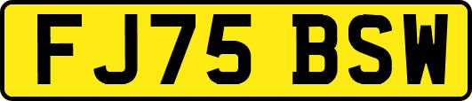 FJ75BSW