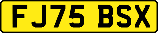 FJ75BSX