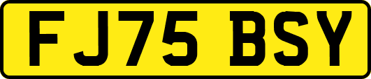 FJ75BSY