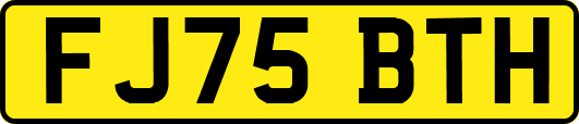 FJ75BTH
