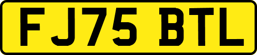 FJ75BTL