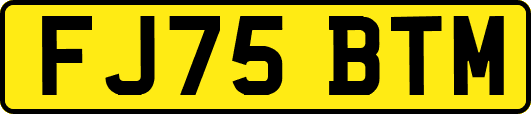 FJ75BTM
