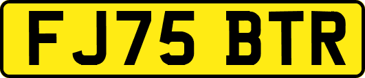 FJ75BTR