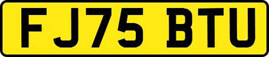 FJ75BTU