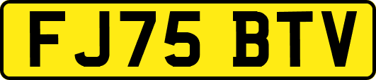 FJ75BTV