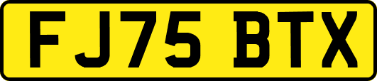 FJ75BTX