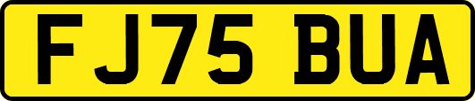 FJ75BUA
