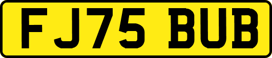 FJ75BUB