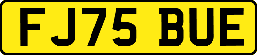 FJ75BUE