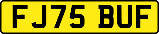 FJ75BUF