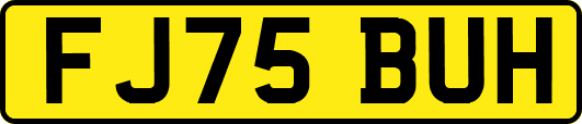 FJ75BUH