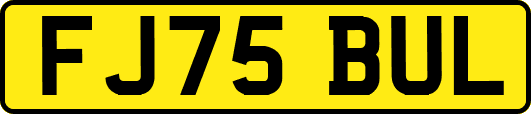 FJ75BUL