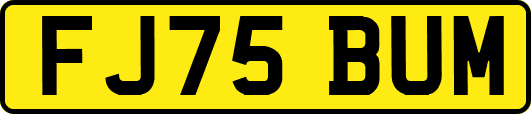 FJ75BUM