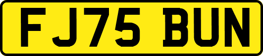 FJ75BUN