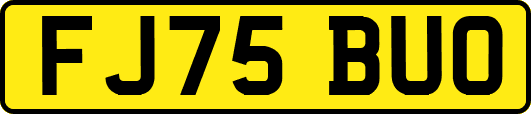 FJ75BUO