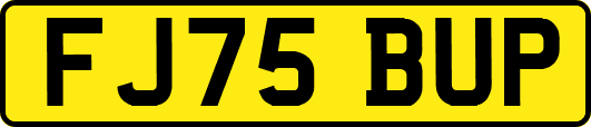 FJ75BUP
