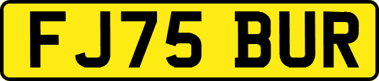 FJ75BUR