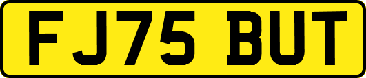 FJ75BUT