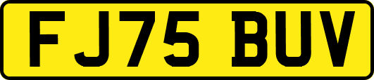 FJ75BUV