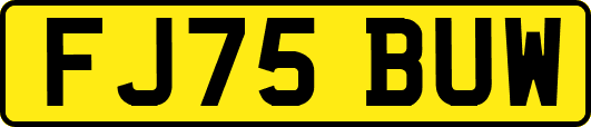 FJ75BUW