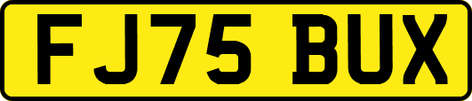 FJ75BUX