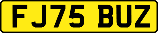 FJ75BUZ