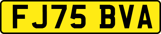 FJ75BVA