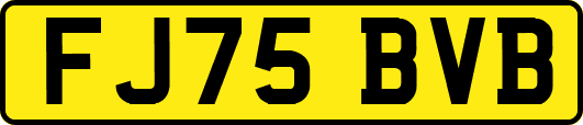 FJ75BVB