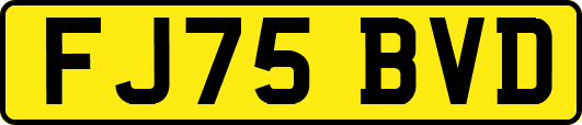 FJ75BVD