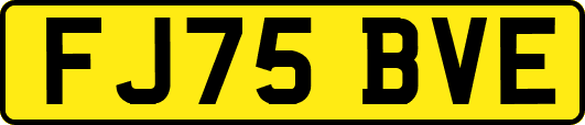 FJ75BVE