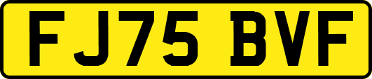 FJ75BVF