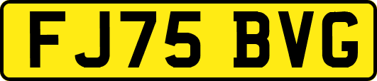 FJ75BVG
