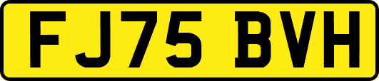 FJ75BVH