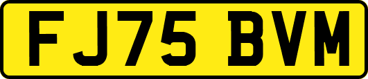 FJ75BVM