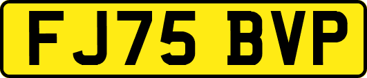 FJ75BVP
