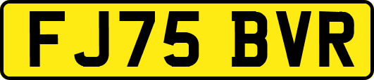 FJ75BVR