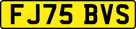 FJ75BVS