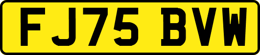 FJ75BVW