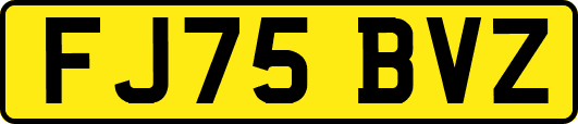 FJ75BVZ