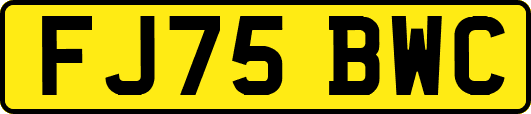 FJ75BWC