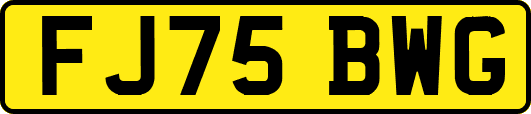 FJ75BWG