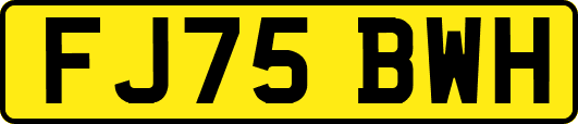 FJ75BWH