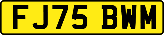 FJ75BWM