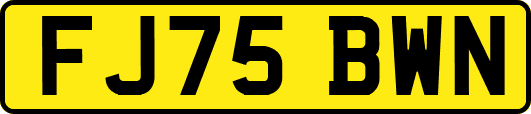 FJ75BWN