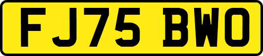 FJ75BWO