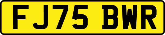 FJ75BWR
