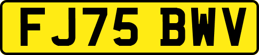 FJ75BWV