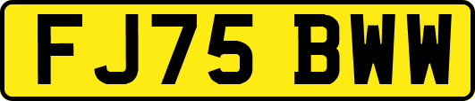 FJ75BWW